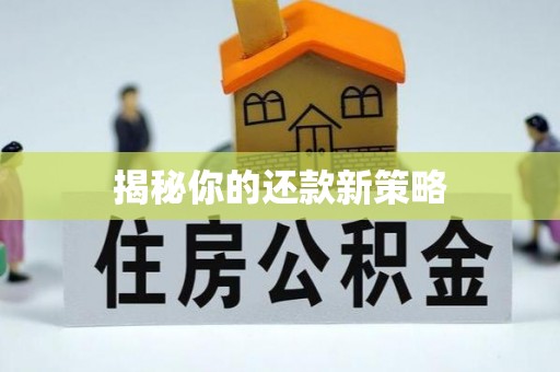 乌恰揭秘你的还款新策略