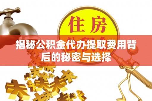 乌恰揭秘公积金代办提取费用背后的秘密与选择
