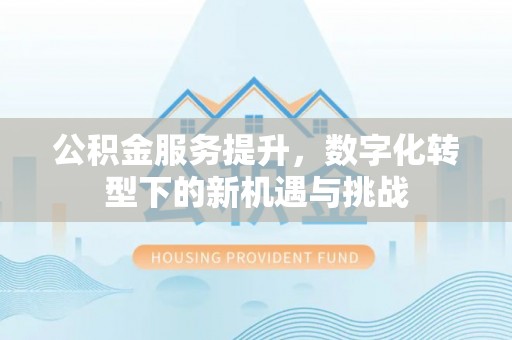 乌恰公积金服务提升，数字化转型下的新机遇与挑战