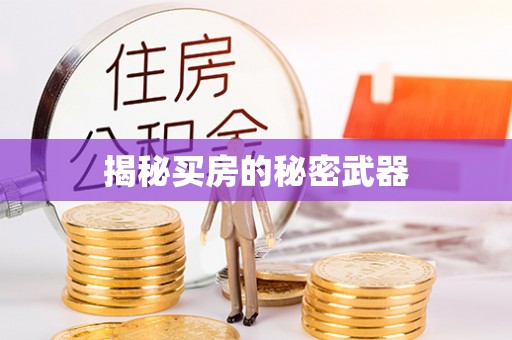 乌恰揭秘买房的秘密武器