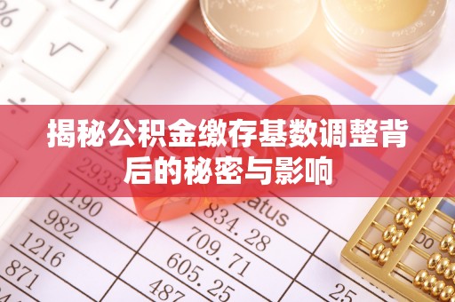 乌恰揭秘公积金缴存基数调整背后的秘密与影响