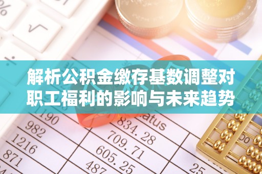 乌恰解析公积金缴存基数调整对职工福利的影响与未来趋势