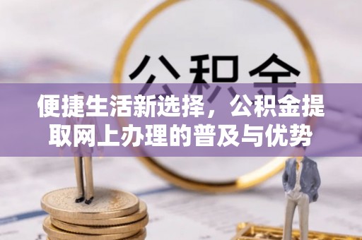 乌恰便捷生活新选择，公积金提取网上办理的普及与优势