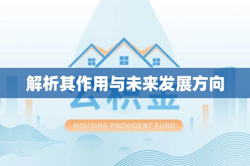 乌恰解析其作用与未来发展方向